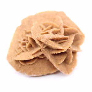Rose des sables marocaine : petite pièce de collection brute