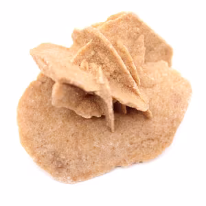 Mini Rose des sables marocaine : spécimen de gypse naturel