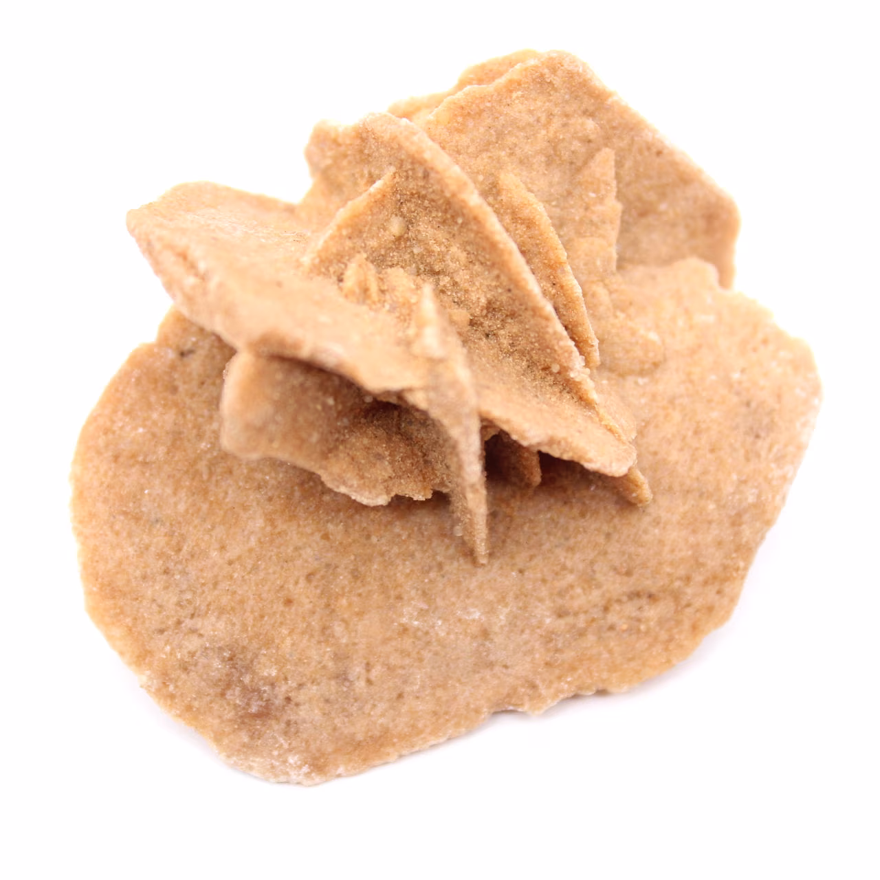 Mini Rose des sables marocaine : spécimen de gypse naturel