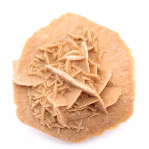 Rose des sables marocaine : gypse naturel et esthétique