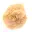 Petite Rose des sables du Maroc : fragment géologique naturel — 13