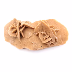 Rose des sables allongée du Maroc : spécimen géologique