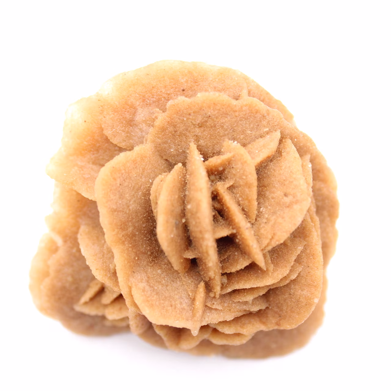 Rose des sables marocaine : bouquet de gypse naturel