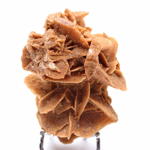 Rose des Sables du Sahara algérien