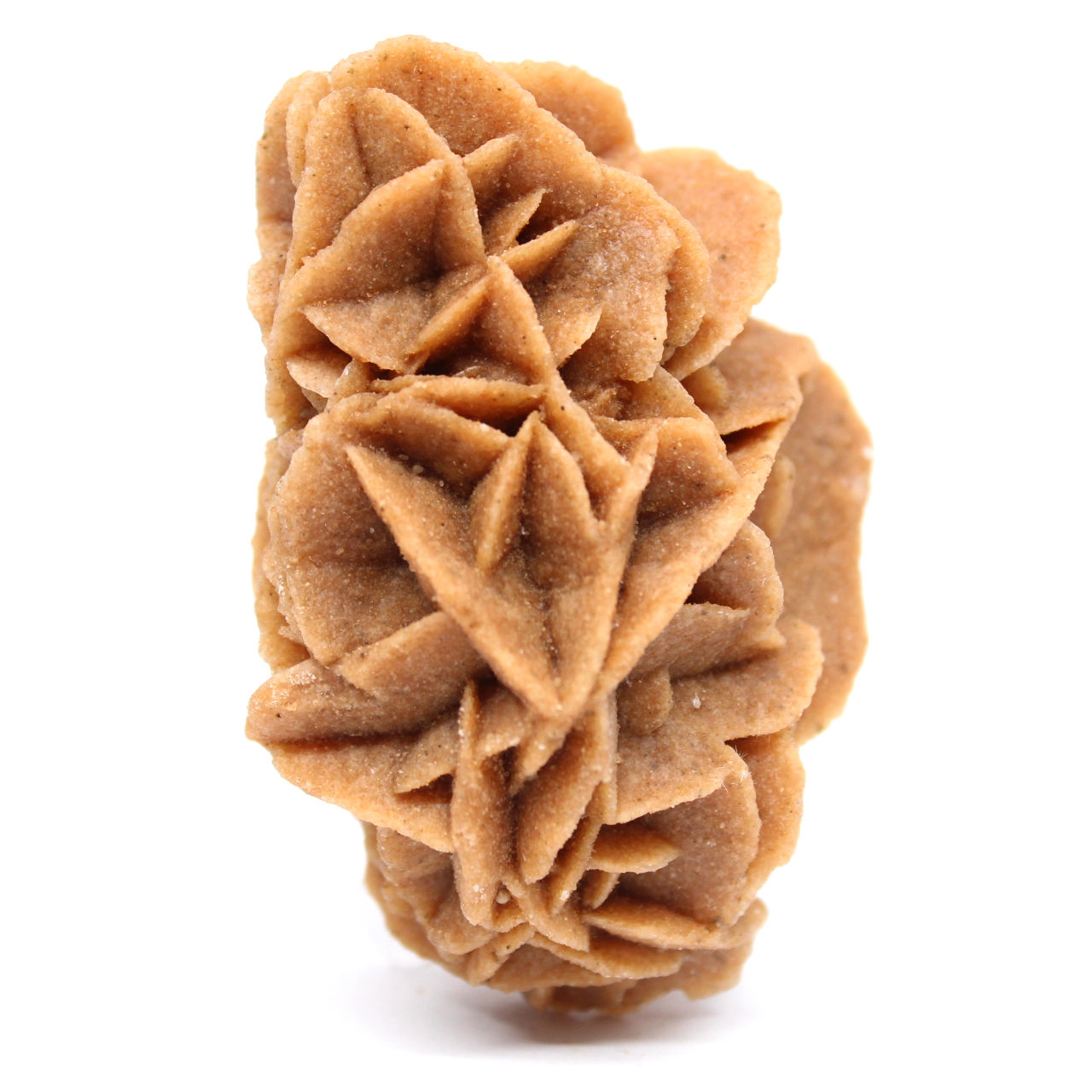 Cristaux de gypse en rosette naturelle