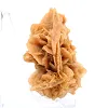 Fragment de gypse cristallisé d'Algérie - 3