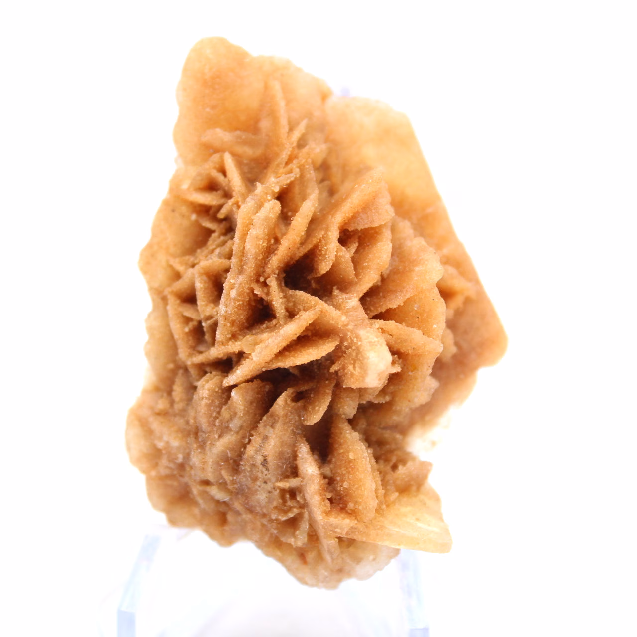 Fragment de gypse cristallisé d'Algérie