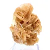 Petite Rose des Sables de collection - 0