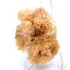Petite Rose des Sables de collection - 2