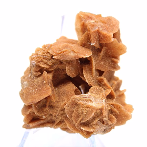 Spécimen de gypse ocre cristallisé