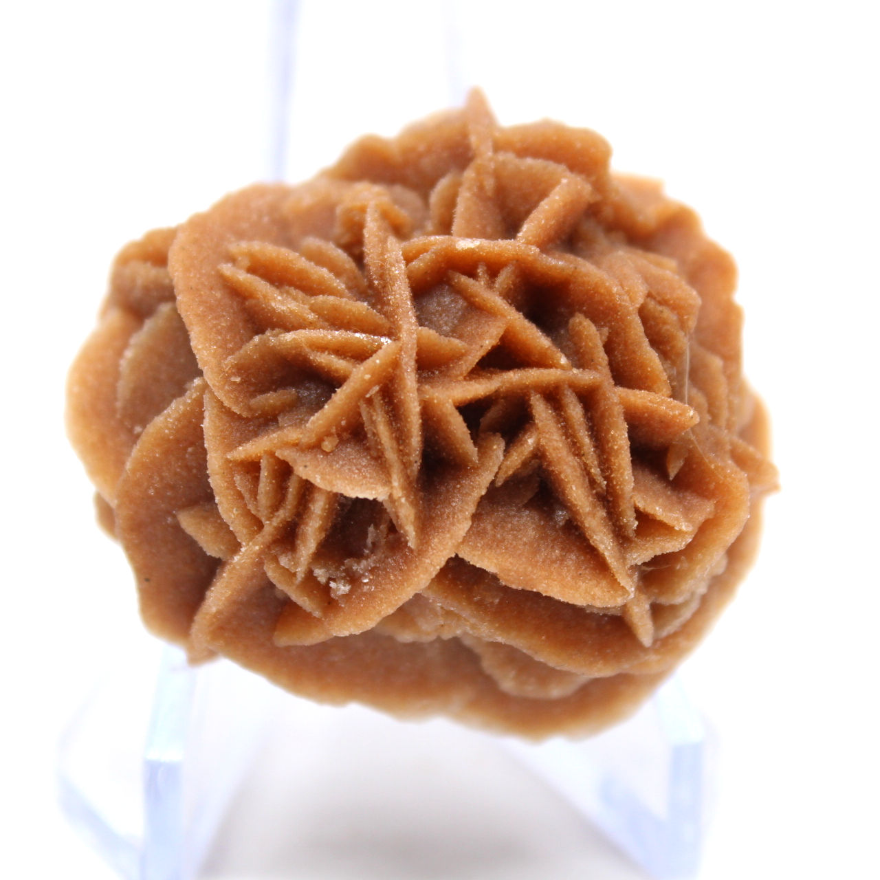 Rosette de sable et gypse naturel
