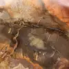 Bois Pétrifié de Majunga - Tranche Polie d'Origine Naturelle - 4