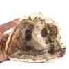 Tranche de Bois Silicifié Naturel - Spécimen de Madagascar - 0