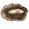 Tranche de Bois Silicifié Allongée - Origine Madagascar - 1
