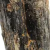 Pierre de Tourmaline Noire Brute - Cristal Naturel Malgache - 5