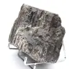 Grande Tourmaline Noire de Madagascar - Minéral Authentique - 2