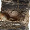 Spécimen Minéralogique - Tourmaline Noire Brute Madagascar - 5