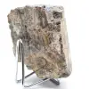 Spécimen de Tourmaline Noire Brute - Origine Madagascar - 3