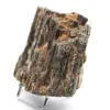 Tourmaline Noire de Madagascar - Cristal Brut Compact - 2