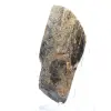Pierre Brute de Tourmaline Noire - Origine Madagascar - 2