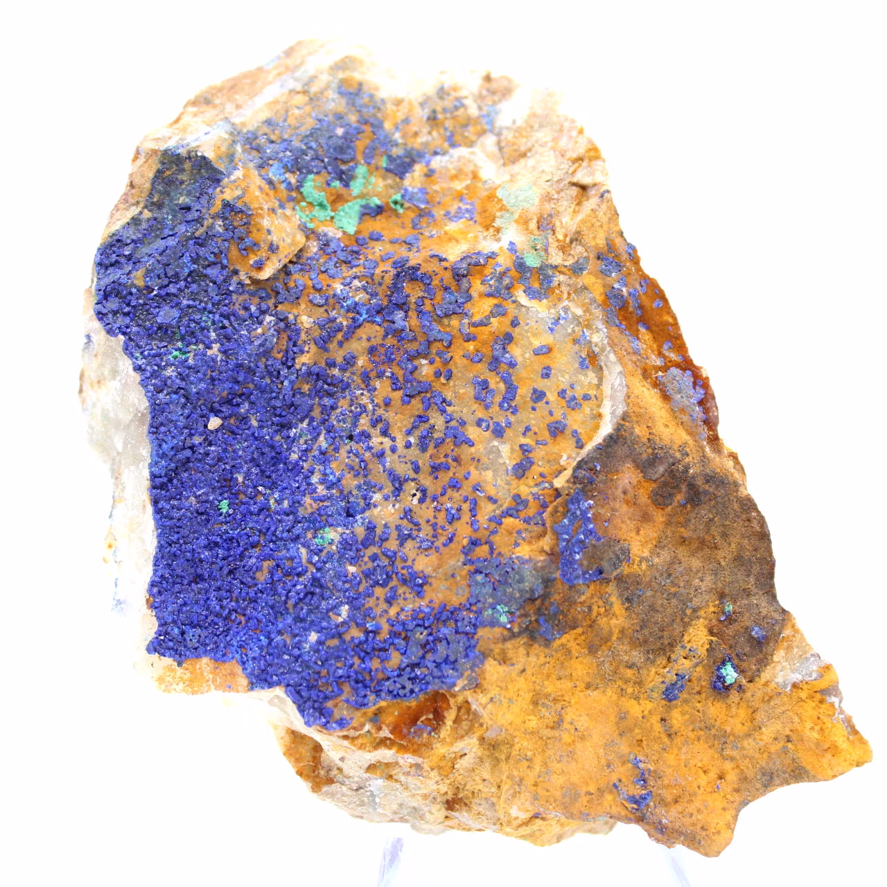 Spécimen bicolore Azurite Malachite