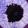 Agate Brésilienne : Tranche de Minéral Teintée en Violet - 2