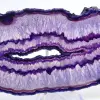 Décoration Minérale : Tranche d'Agate Violette Brésil - 2