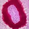 Section d’agate rose teinté polie - 2