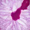 Agate naturelle teinté rose en tranche - 2