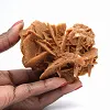 Rose des Sables du Sahara algérien - 1