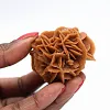 Rosette de sable et gypse naturel - 1