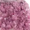 Cobaltocalcite du Congo sur socle acrylique – Cristaux roses - 5