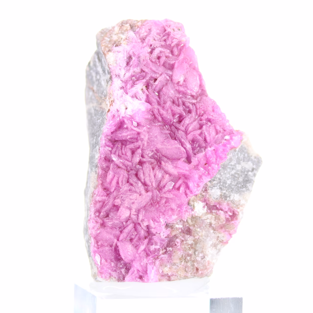 Cobaltocalcite du Congo sur gangue, petit format