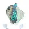 Spécimen Minéralogique Brochantite Verte du Chili sur Socle - 4