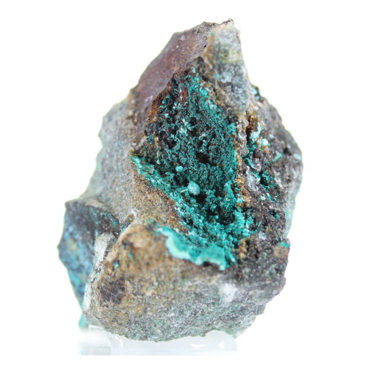 Minéral Brut Brochantite Verte du Chili sur Gangue