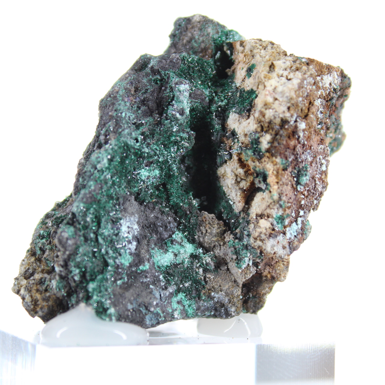 Brochantite Brute du Chili - Échantillon de Collection