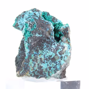 Cristaux de Brochantite Brute du Chili - Pièce d'Exposition