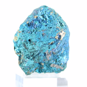 Spécimen de chalcopyrite irisée mexicaine présenté sur socle