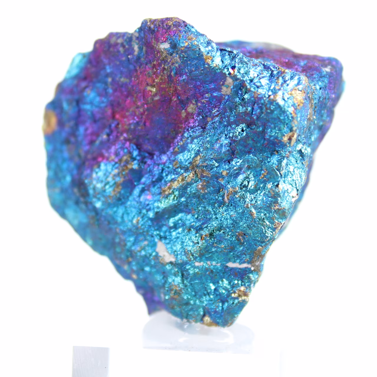 Spécimen de chalcopyrite mexicaine aux surfaces irisées