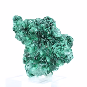 Malachite fibreuse du Congo sur socle acrylique, spécimen naturel