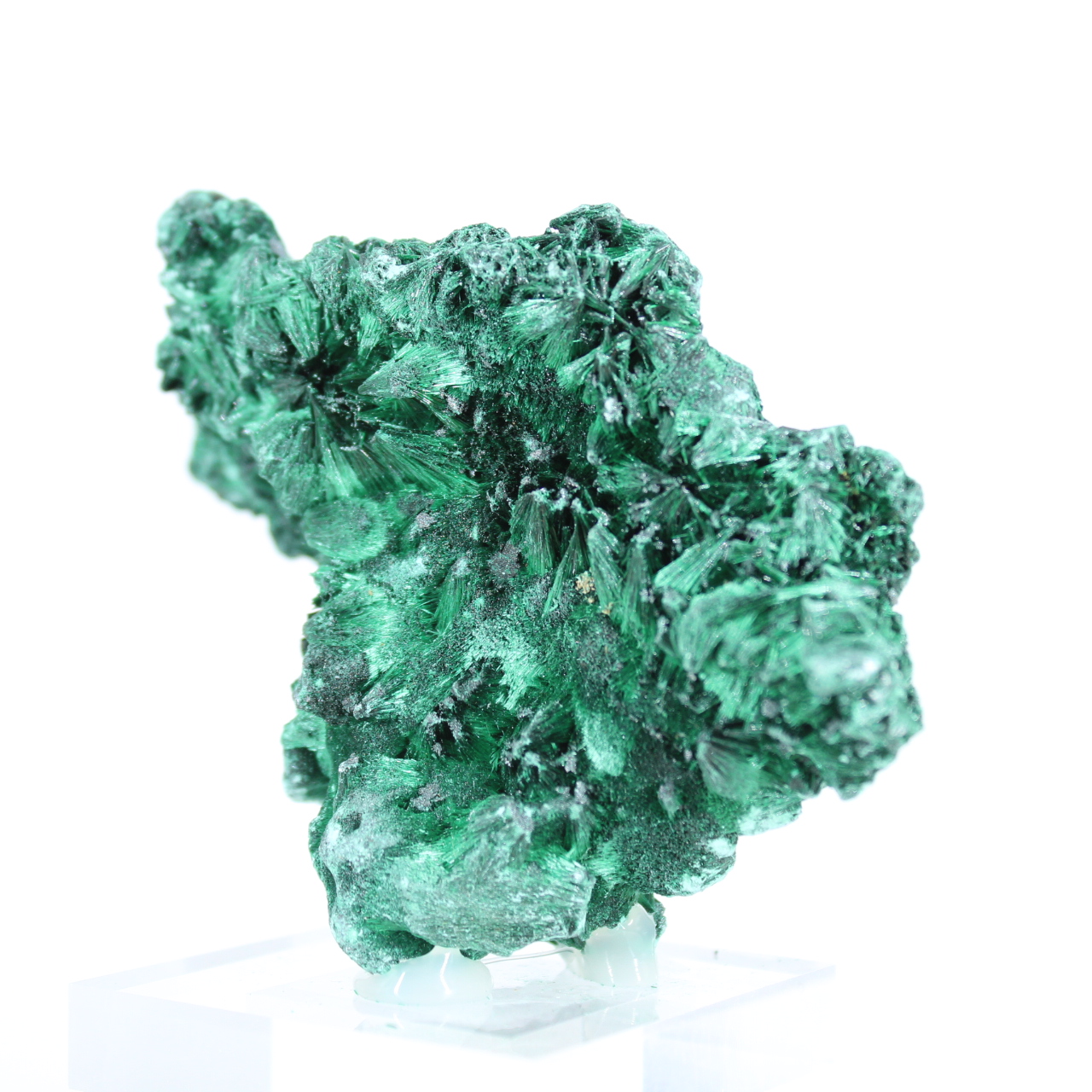 Malachite fibreuse du Congo sur socle acrylique, spécimen naturel