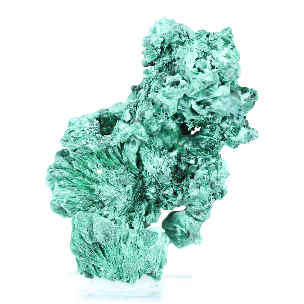 Grand agrégat de malachite en aiguilles de RDC sur socle acrylique