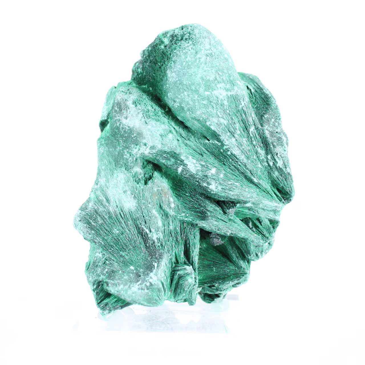 Malachite soyeuse du Congo-Kinshasa, minéral de collection sur socle