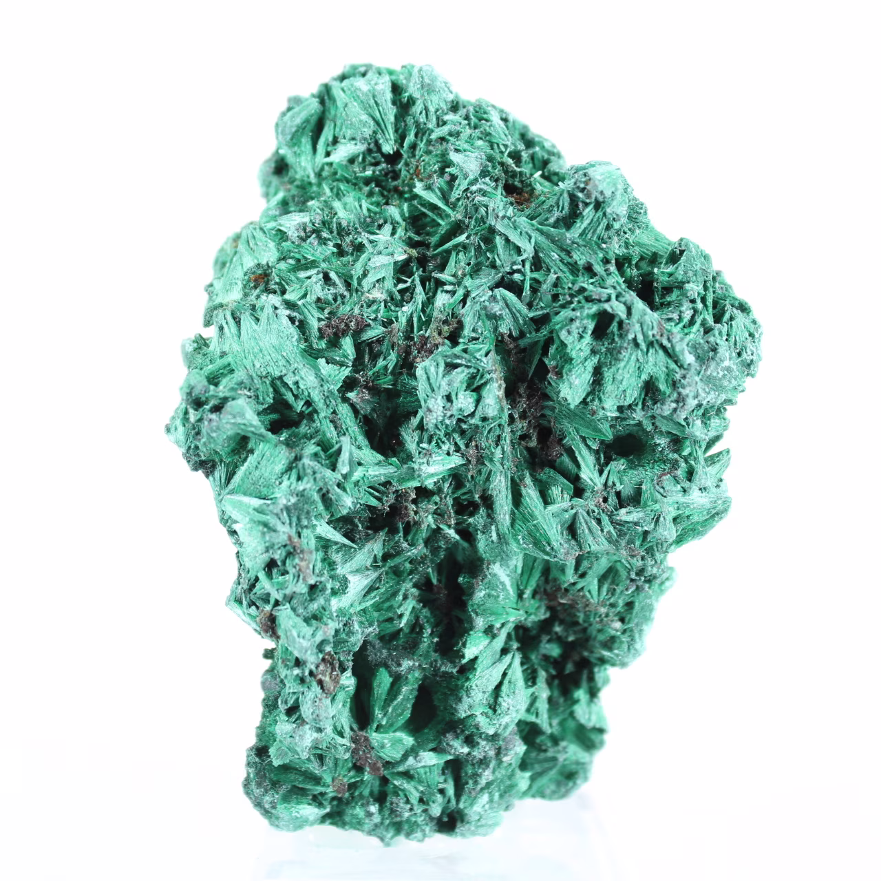 Petit spécimen de malachite fibreuse de RDC, socle acrylique inclus