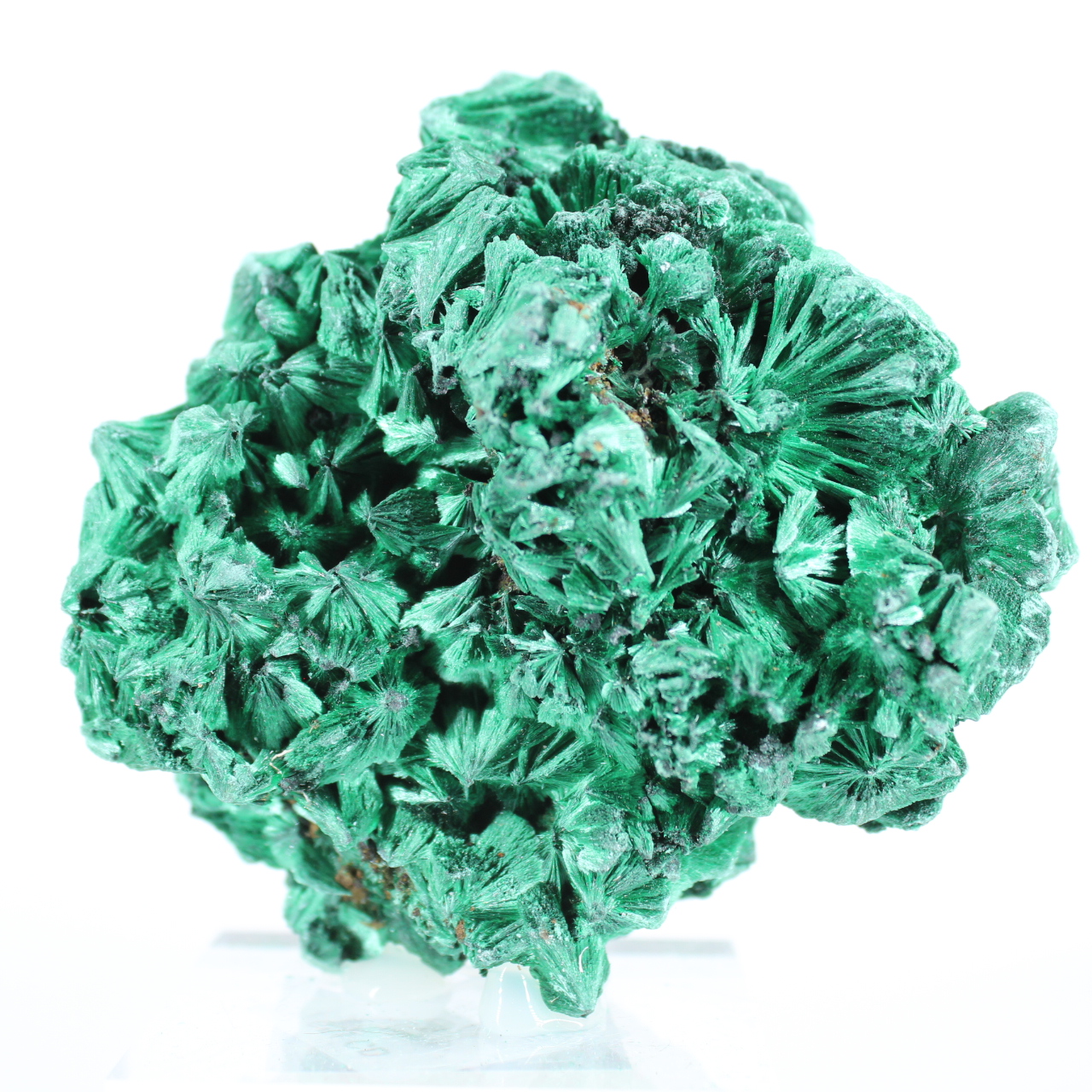 Malachite aciculaire du Congo, pierre naturelle décorative sur socle