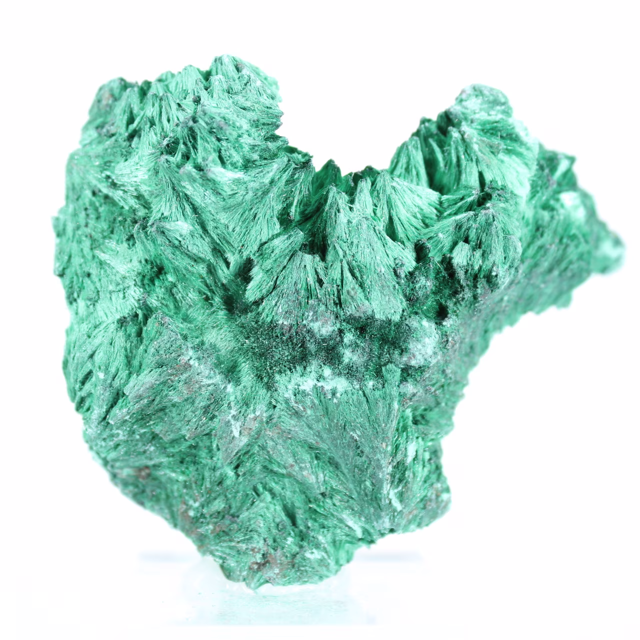 Spécimen de malachite en fibres vertes du Congo, présentoir acrylique
