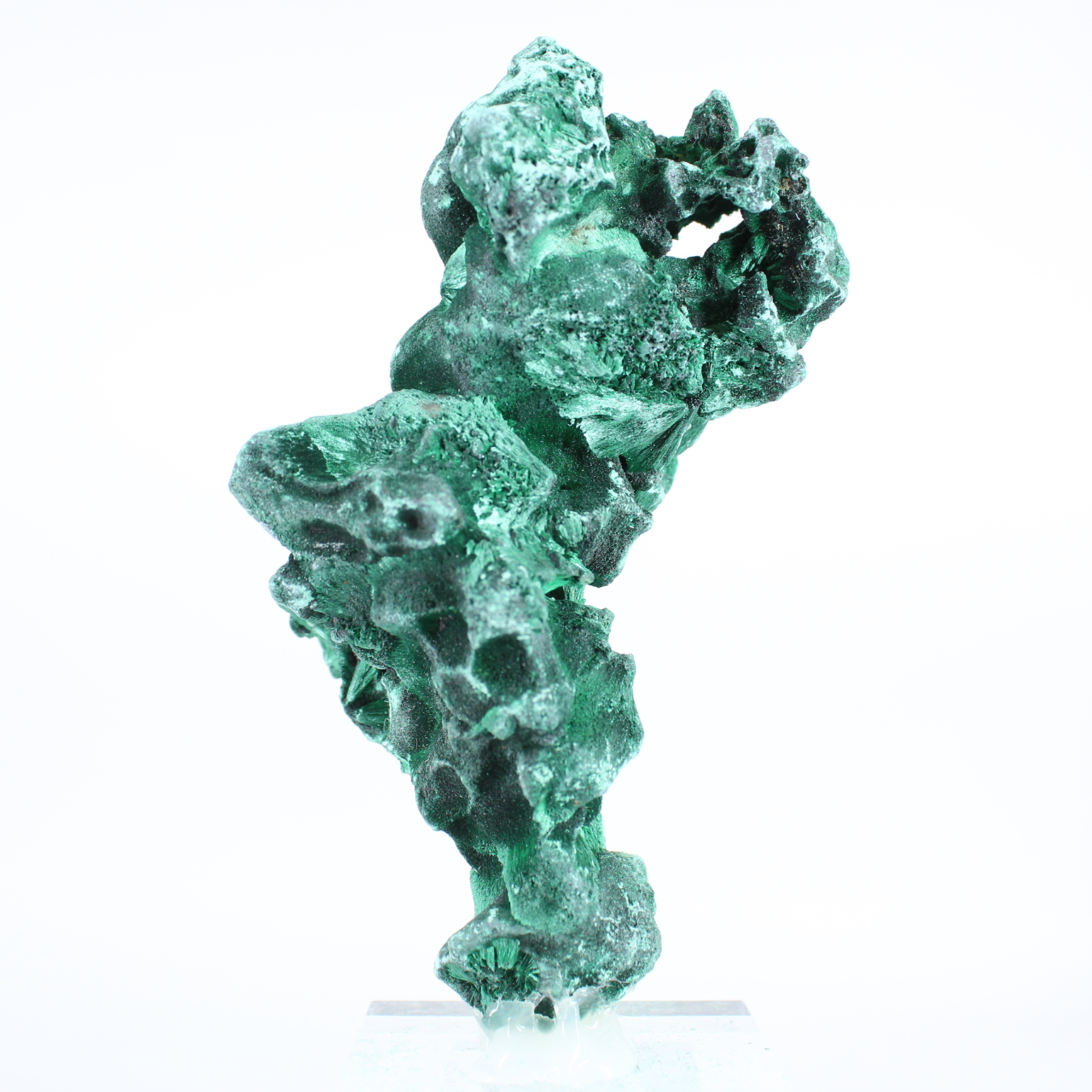 Haute malachite fibreuse de RDC sur socle, pierre de collection