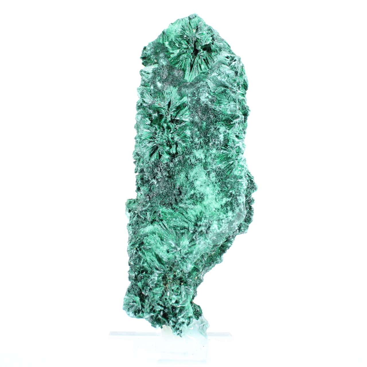Colonne de malachite fibreuse du Congo, spécimen sur socle acrylique