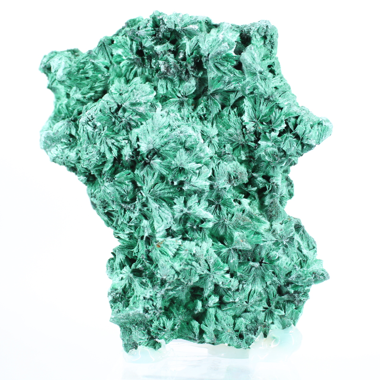Malachite fibreuse au profil plat de RDC, minéral décoratif sur socle