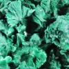 Échantillon de malachite fibreuse congolaise sur socle transparent - 5